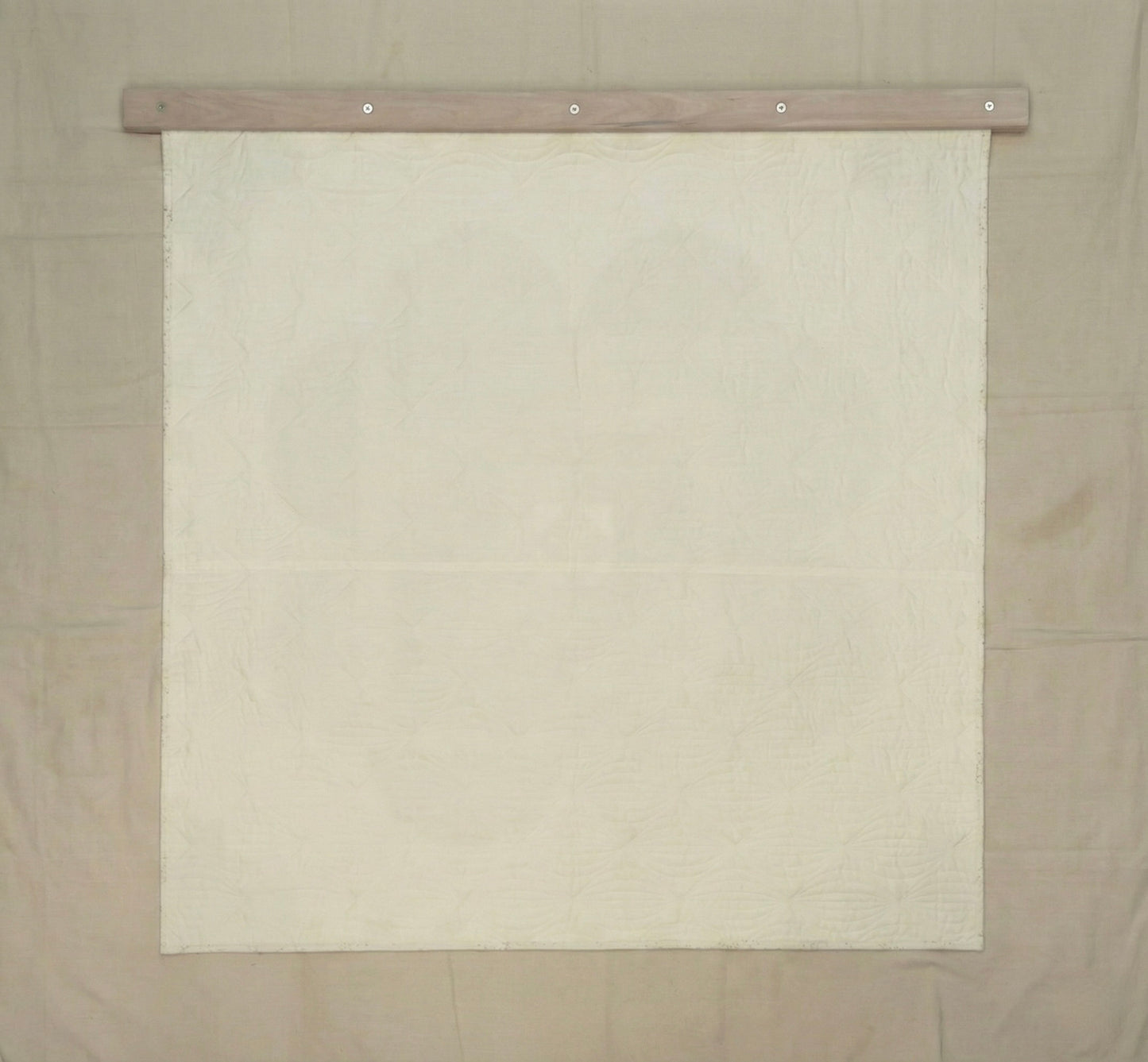 Rocky Mountain Lichen