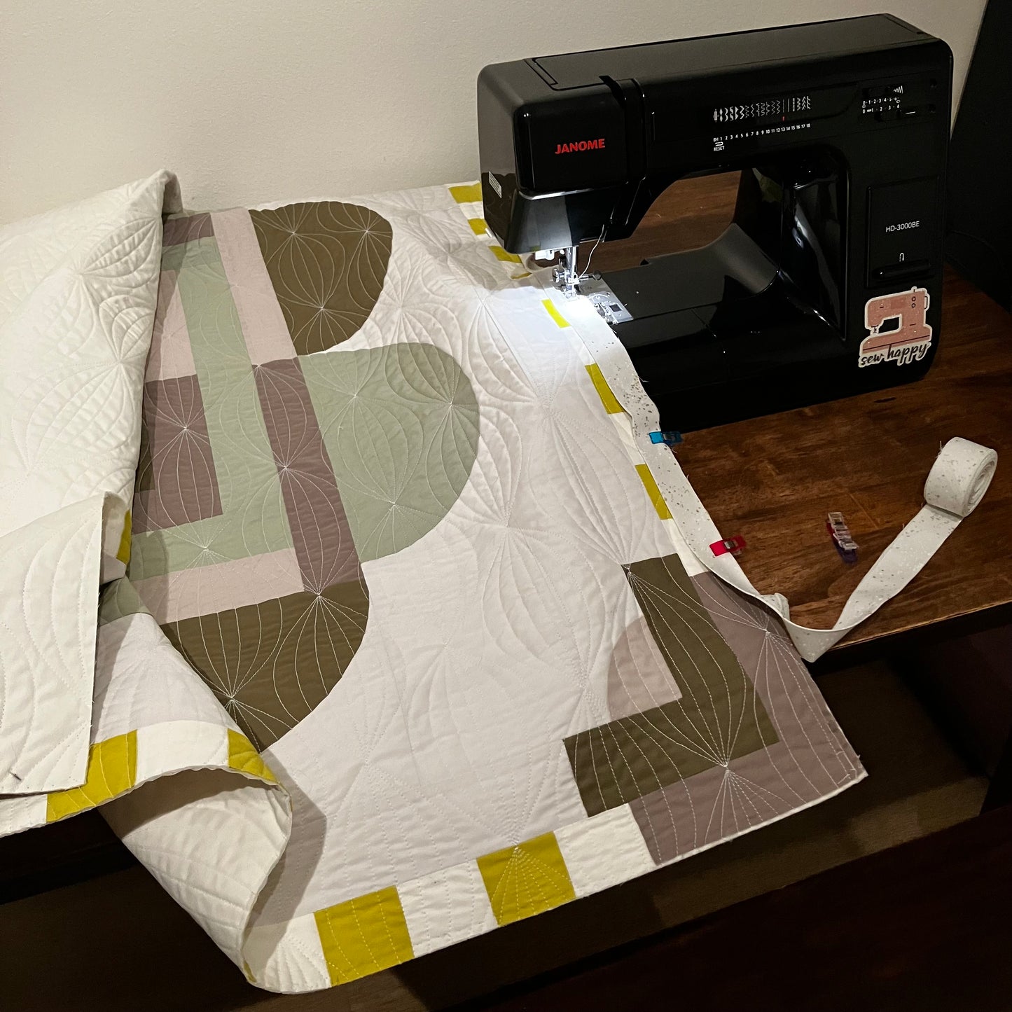 Rocky Mountain Lichen