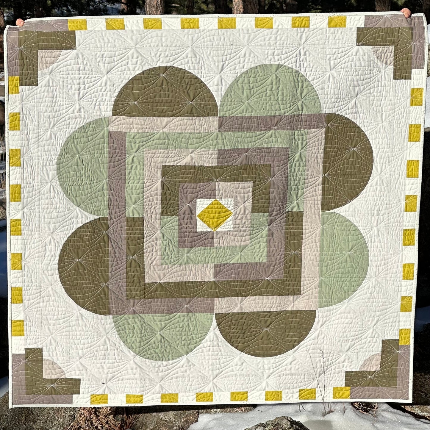 Rocky Mountain Lichen