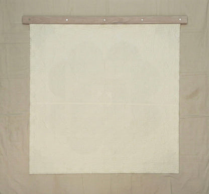 Rocky Mountain Lichen